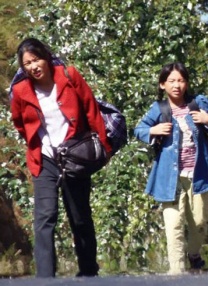 五月婷婷在线免费观看